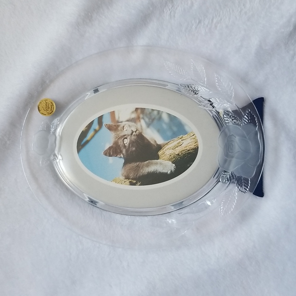CRISTAL D'ARQUES OVAL FRAME